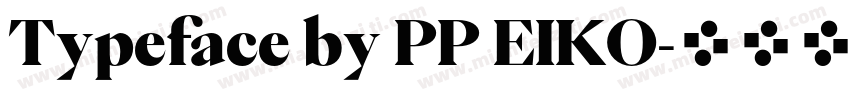 Typeface by PP EIKO字体转换